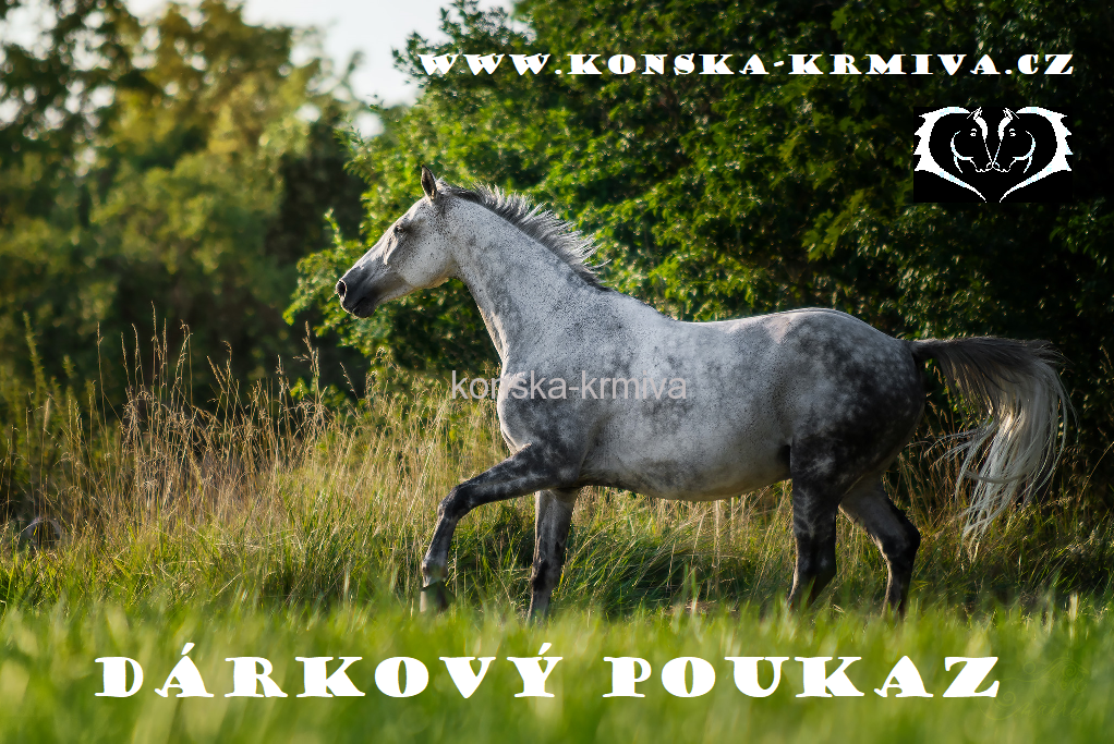 DÁRKOVÝ POUKAZ - dle vlastní hodnoty